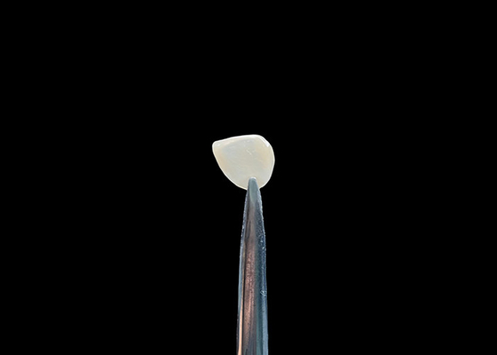 خرید دقت 0.2-0.5mm EMAX تزئینی دندانهای طبیعی online manufacture